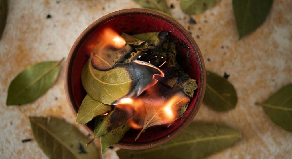 Spálit bobkový list: rituál, který je třeba provést v září, aby přilákal hojnost.