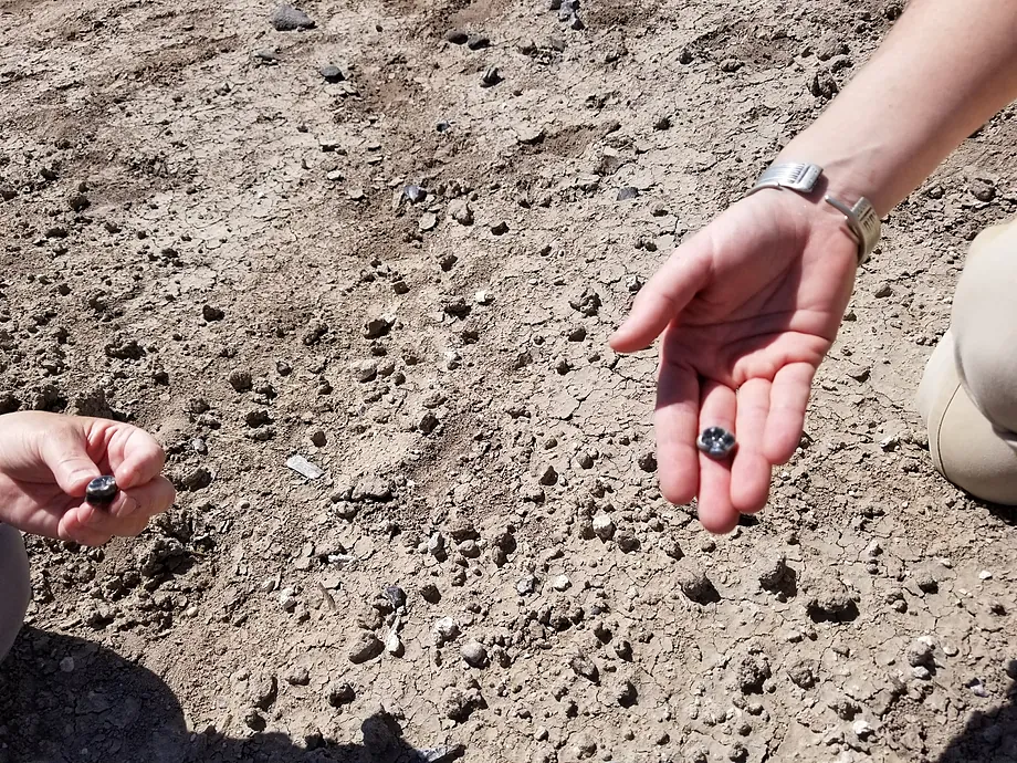 Objeven nový druh australopitéka, který žil společně s prvními zástupci rodu Homo