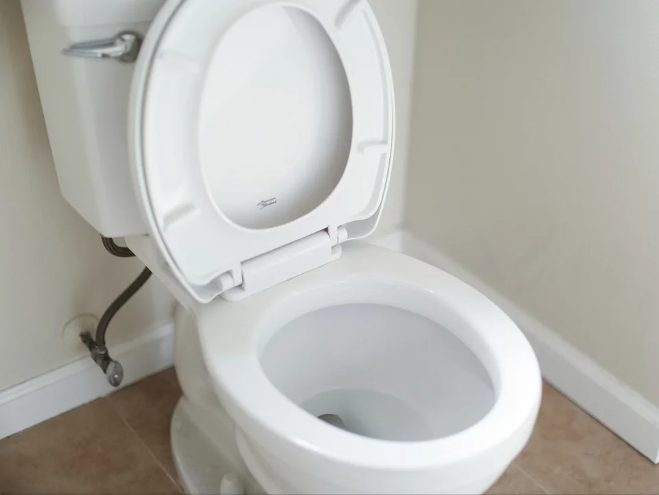 Tento jednoduchý mix vybělí toaletu a osvěží celou koupelnu