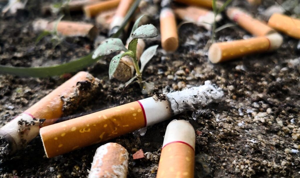 V Itálii přestali odhazovat cigaretové nedopalky na chodníky: nyní je vysazují na silnicích.