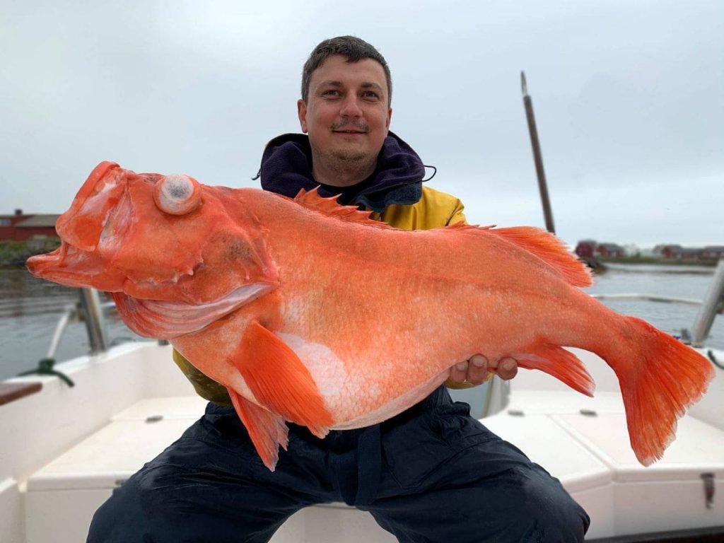 Rybáři z ostrova Formentera ulovili obrovského exempláře vážícího 49 kilogramů: „Může mu být 50 nebo 60 let.“