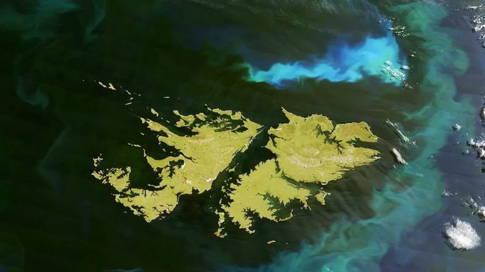 Bezprecedentní objev na Falklandských ostrovech, který může zcela změnit historii
