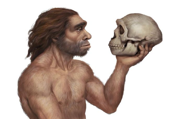 Objev týkající se evoluce Homo sapiens potvrzuje, že naše palce hrály rozhodující roli v rozvoji mozku