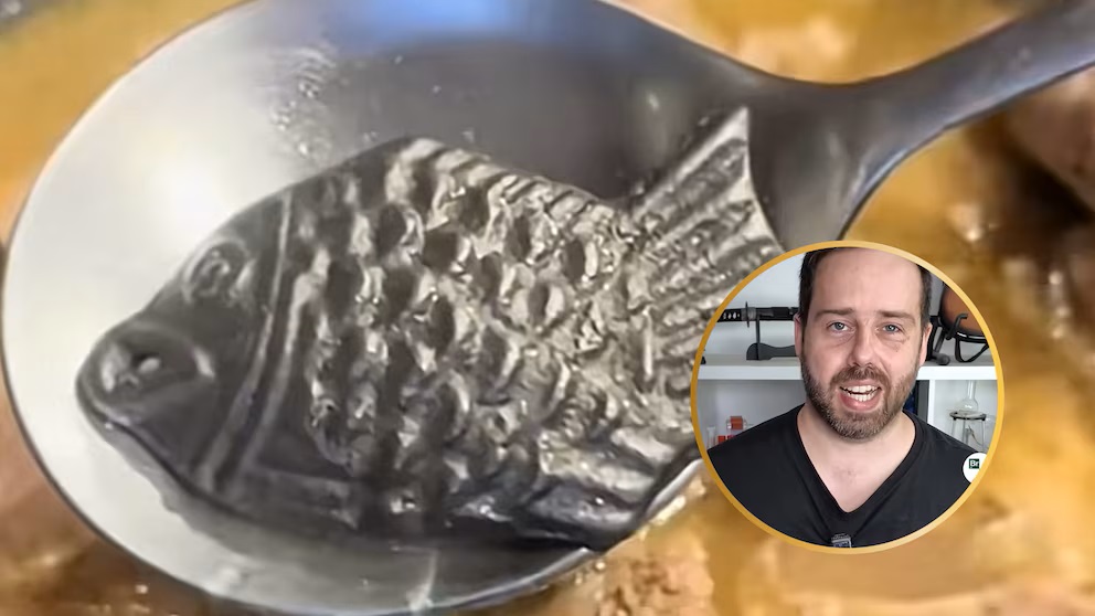 Proč se v některých zemích přidává do ragú železná rybka: vysvětlení chemika