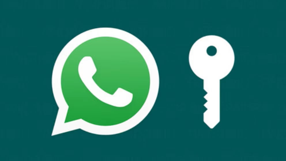 Co se stane, pokud neodstraníte neaktivní kontakty v WhatsApp, a proč to může být nebezpečné