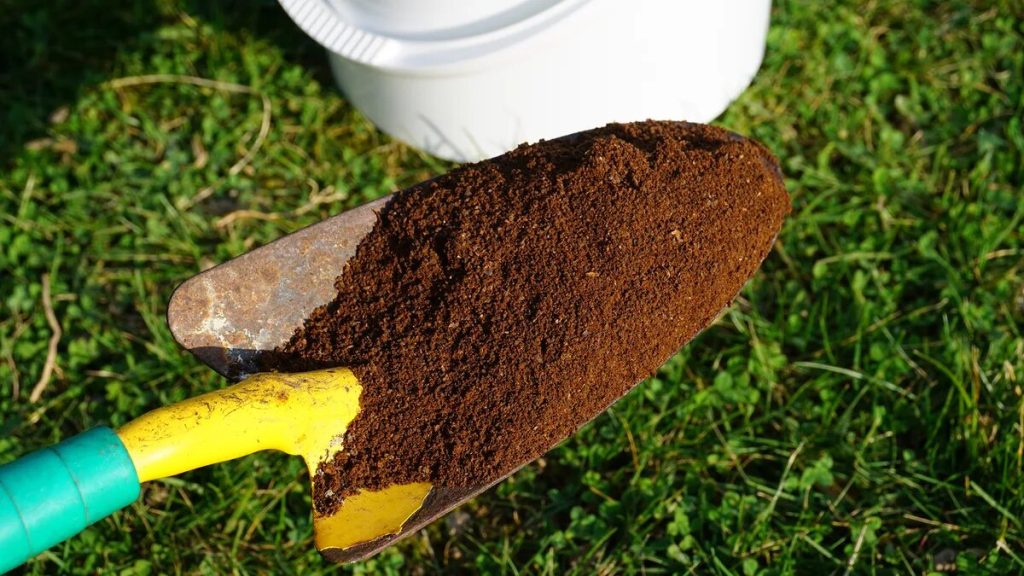 Ovocné mušky nesnášejí tento zápach. Tato metoda nic nestojí, ale funguje