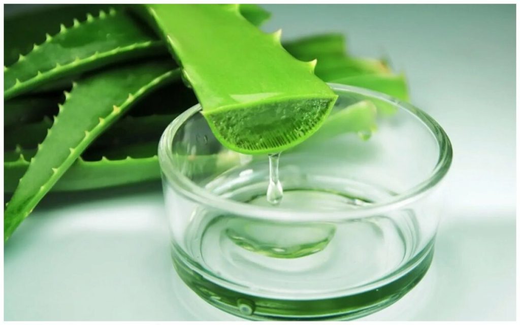 Jaké jsou výhody konzumace aloe vera s citronem ráno?