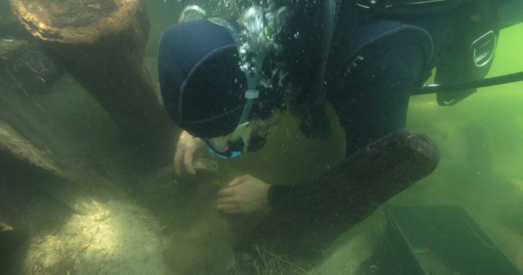 Archeologie: tajemná tvář stará 1000 let objevena na dně jezera v Polsku
