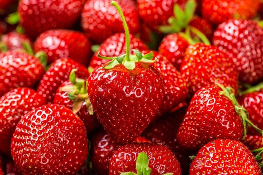 Jahody zdarma: tajemství přeměny zapomenutých záhonů a stonků na superproduktivní vertikální zahradu.